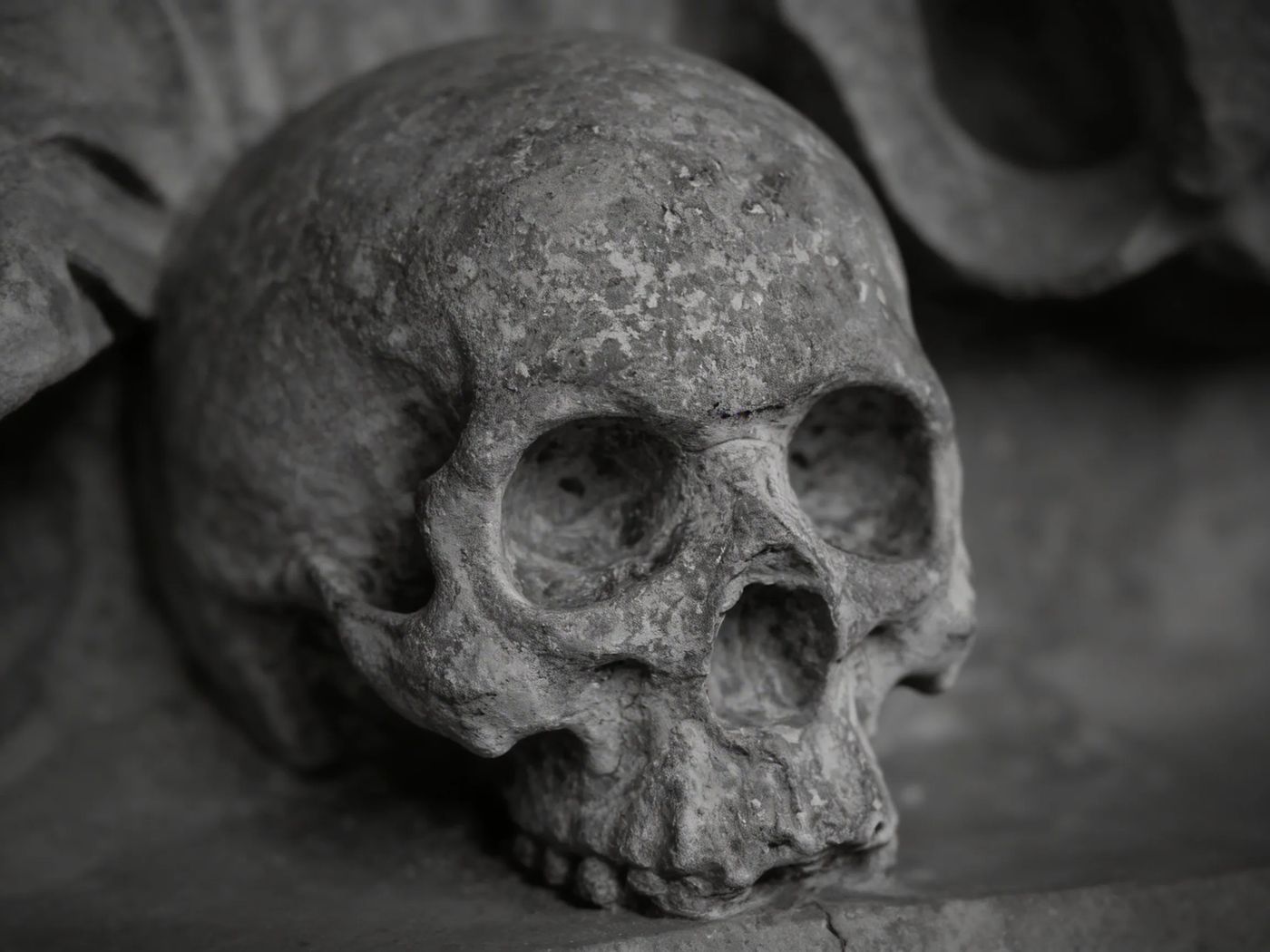 Картинка продукта